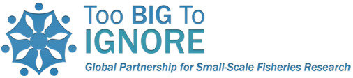Too Big to Ignore